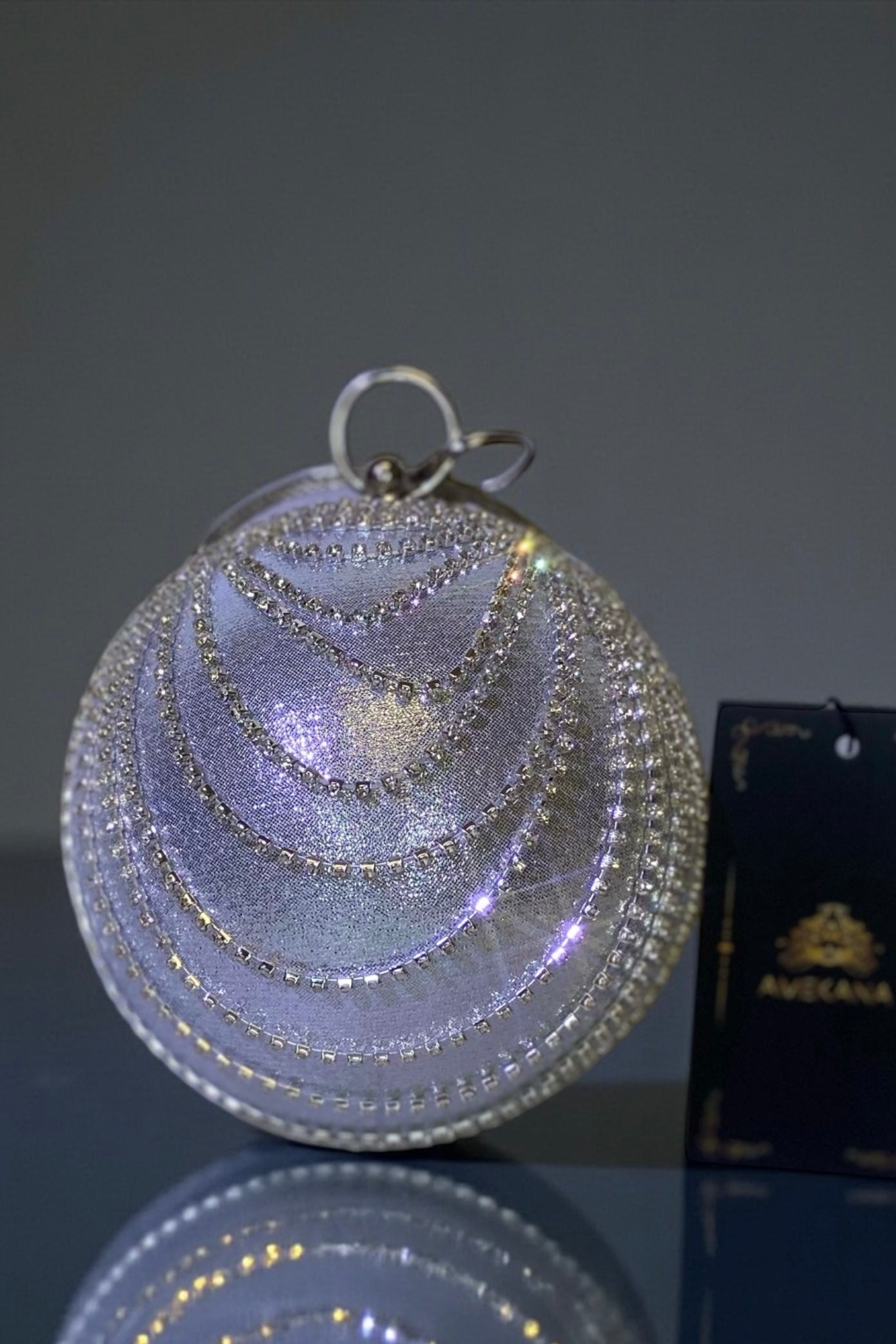 Globe Clutch (Ready to Ship)