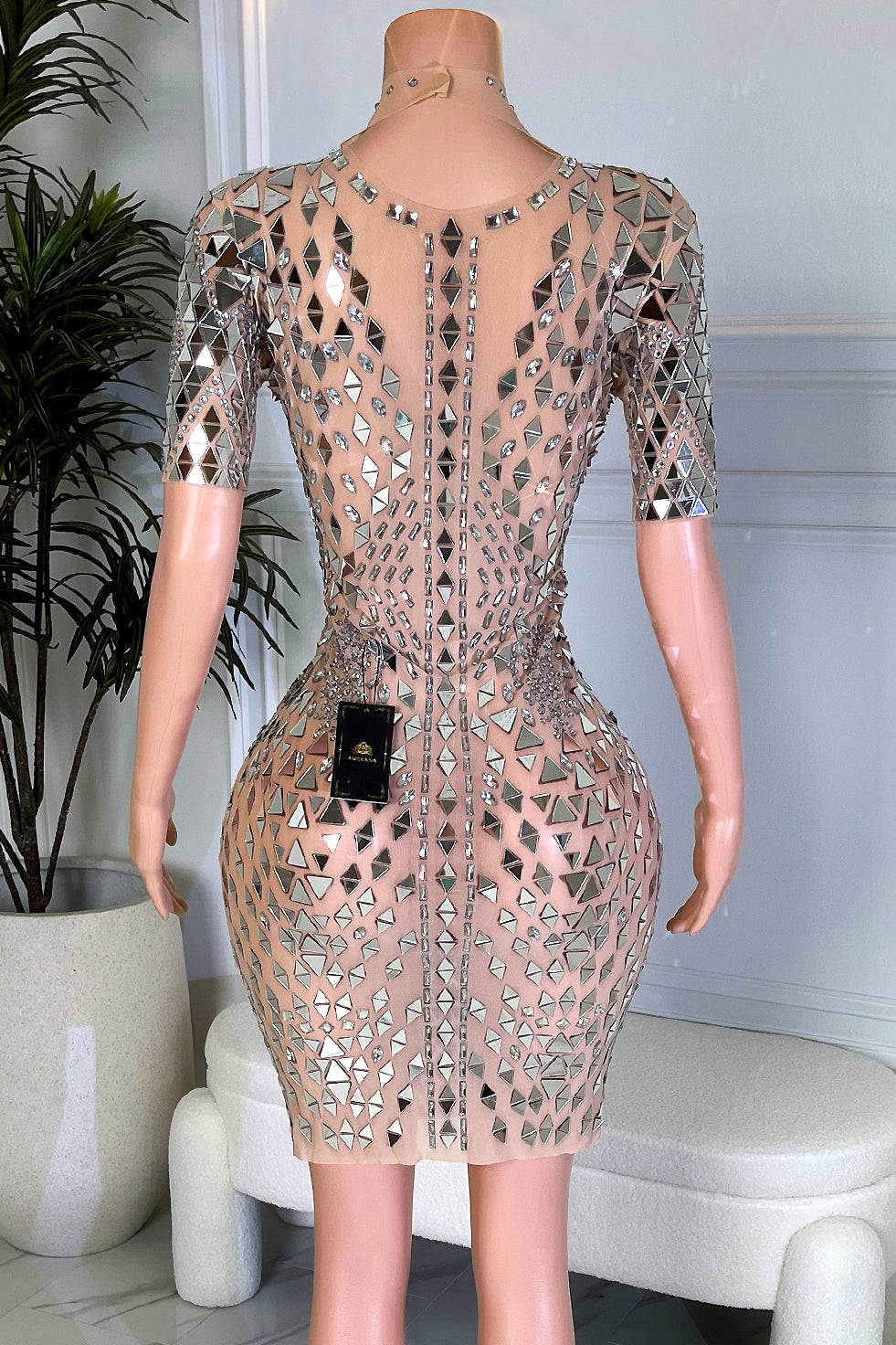 Penil Mirror Mesh Dress (Made to Order)