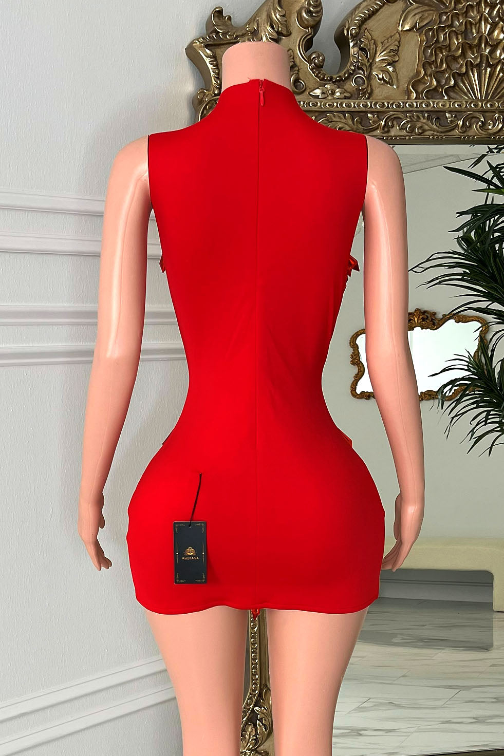 Agata Red Dress