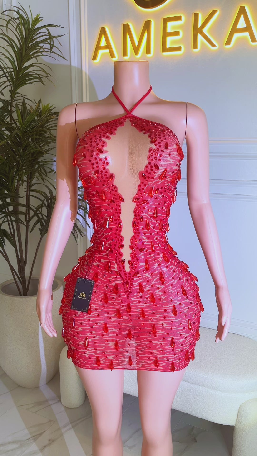 Dangerous Desire Red Dress (Made to Order)