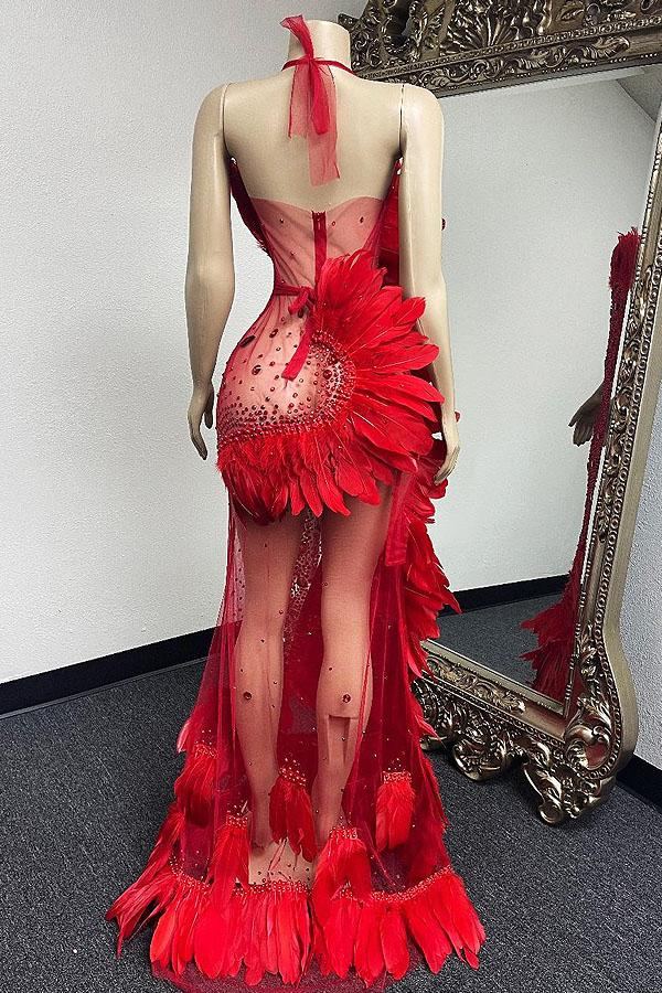 Tease Show Red Diamante Feather Dress